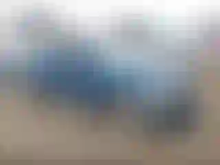 Vehicle Image- 2017 Volkswagen Beetle