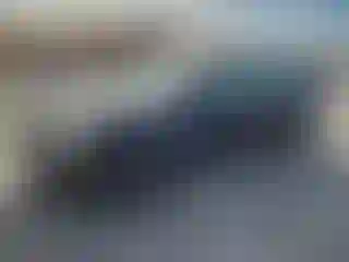 Vehicle Image- 2008 Volkswagen Jetta