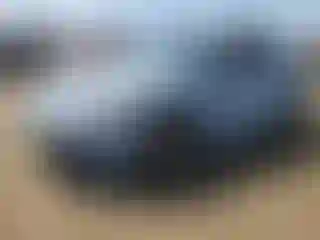 Vehicle Image- 2013 Volkswagen Beetle