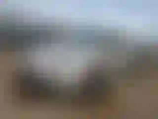 Vehicle Image- 2012 Volkswagen Beetle