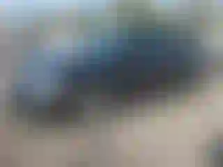 Vehicle Image- 2012 Volkswagen Beetle