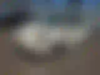 Vehicle Image- 2006 Volkswagen Beetle
