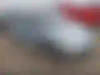 Vehicle Image- 2010 Volkswagen Beetle