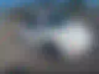 Vehicle Image- 2010 Volkswagen Beetle