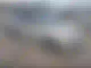 Vehicle Image- 2011 Volkswagen Jetta