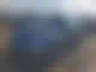 Vehicle Image- 2007 Volkswagen Beetle