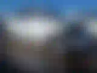 Vehicle Image- 2006 Volkswagen Beetle