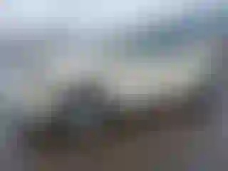 Vehicle Image- 2006 Volkswagen Beetle