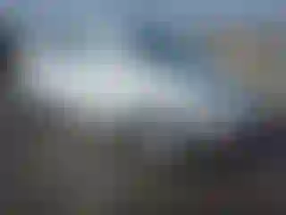 Vehicle Image- 2008 Volkswagen Beetle