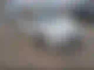 Vehicle Image- 2006 Volkswagen Jetta