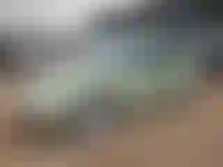 Vehicle Image- 2008 Volkswagen Beetle