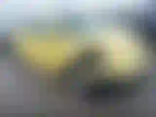 Vehicle Image- 2008 Volkswagen Beetle