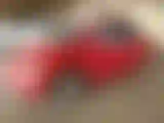 Vehicle Image- 2008 Volkswagen Beetle