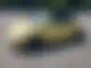 Vehicle Image- 2007 Volkswagen Beetle
