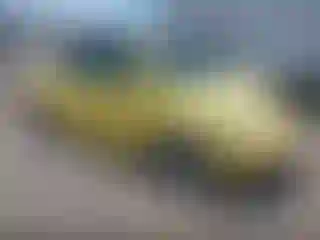 Vehicle Image- 2007 Volkswagen Beetle