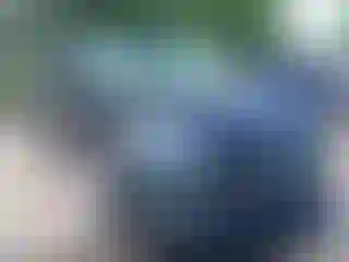 Vehicle Image- 2021 Volkswagen Golf