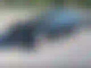 IMPORTOWO.pl