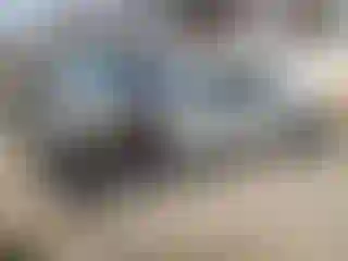 Vehicle Image- 2009 Mitsubishi Galant