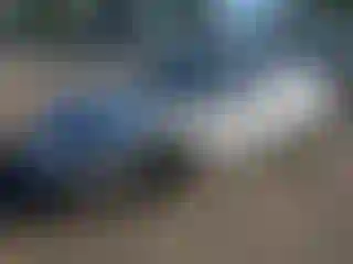 Vehicle Image- 2002 Mitsubishi Eclipse