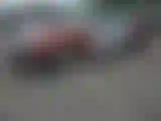 Vehicle Image- 2004 Mitsubishi Eclipse