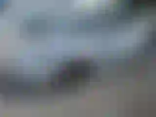 Vehicle Image- 2007 Mitsubishi Eclipse