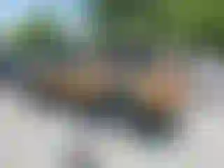 IMPORTOWO.pl