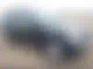 Vehicle Image- 2003 Mercedes Benz ML