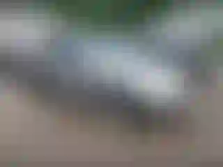 IMPORTOWO.pl