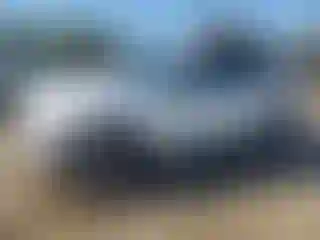 Vehicle Image- 2010 Mercedes Benz ML