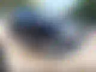 Vehicle Image- 2017 Mercedes Benz GLE