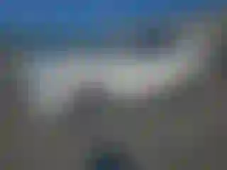 Vehicle Image- 2016 Mercedes Benz GLE