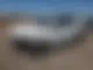 Vehicle Image- 2020 Mercedes Benz GLE