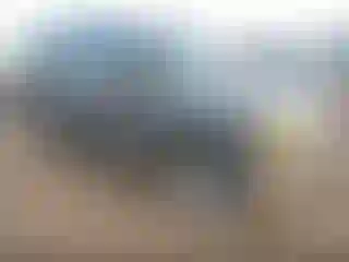 Vehicle Image- 1995 Isuzu Rodeo