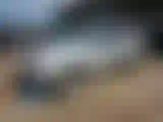 Vehicle Image- 2001 Isuzu Rodeo