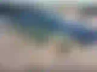 Vehicle Image- 2003 Subaru Legacy