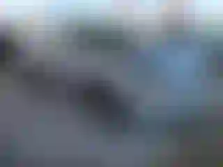 Vehicle Image- 2004 Subaru Outback