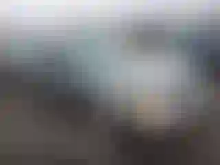 Vehicle Image- 2003 Subaru Outback