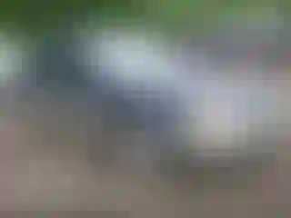 Vehicle Image- 2000 Subaru Outback