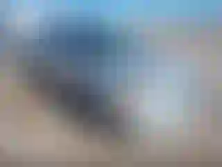 Vehicle Image- 2004 Subaru Outback