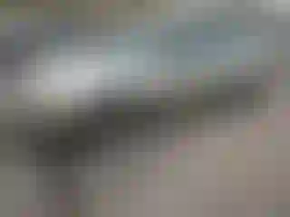 Vehicle Image- 2004 Subaru Legacy