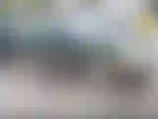 Vehicle Image- 2000 Subaru Outback