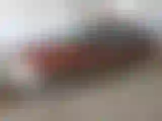 Vehicle Image- 2004 Subaru Legacy