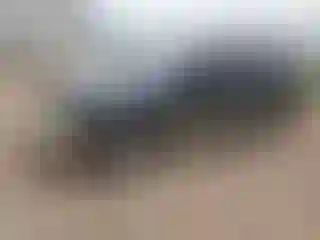 Vehicle Image- 2002 Subaru Legacy