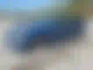 Vehicle Image- 2008 Subaru Legacy