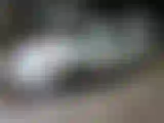 Vehicle Image- 2009 Subaru Legacy