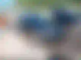 Vehicle Image- 2008 Subaru Legacy