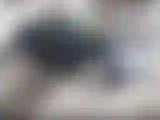 Vehicle Image- 2012 Subaru Legacy