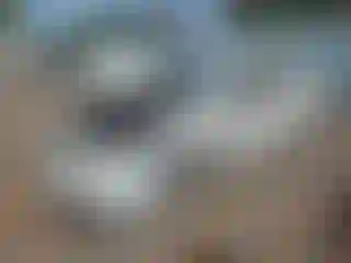 Vehicle Image- 2014 Subaru Legacy