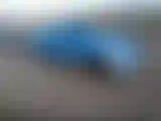 Vehicle Image- 2011 Subaru Legacy