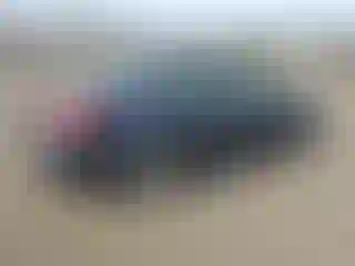 IMPORTOWO.pl
